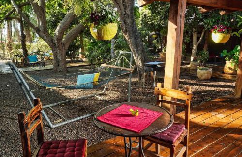 Ramot Cabine | Curry