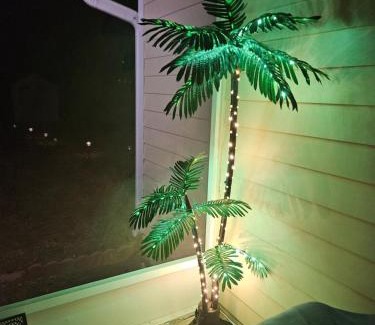 Tallahassee Appartement | Cute Comfy Studio Prime Location
