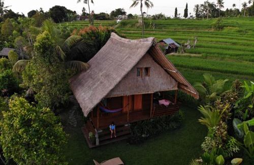 Sukasada Maison | Cute Eco Cottage Near 7 Waterfalls