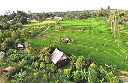 Sukasada Maison | Cute Eco Cottage Near 7 Waterfalls