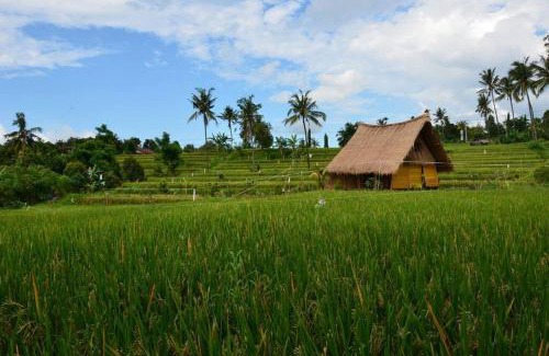 Sukasada Maison | Cute Eco Cottage Near 7 Waterfalls
