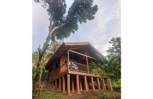Las Delicias Cabine | Cute Jungle Cabin- 5 minutes from beaches & waterfalls