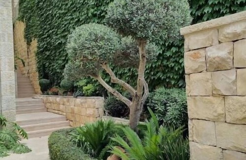 Ein Karem Appartement | Cute Studio near Yad Vashem. Free street parking.