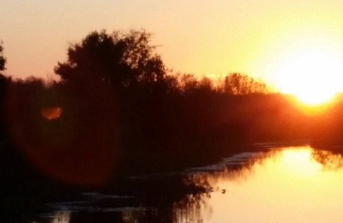 Hawthorne Maison | Cutler's Mere à Cross Creek, entre les lacs Orange et Lochloosa!