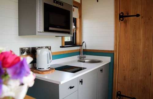 Newcastle-on-Clun Cabine | Cwm Cariad - Shepherds Hut with Hot Tub Sleeping 2 guests, Pet Friendly