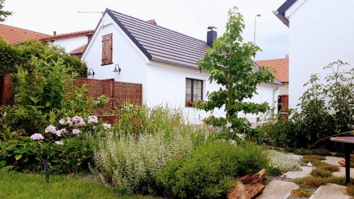 Stara Boleslav Maison | Onefourfour Apartment