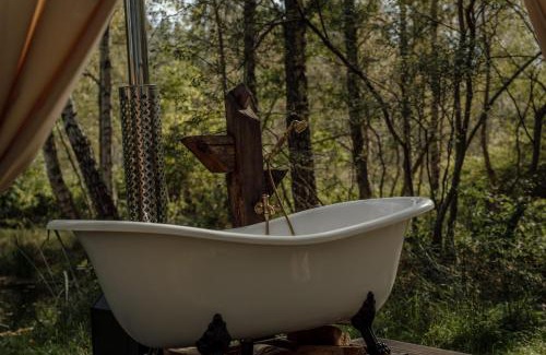 Zarnowska Maison | Czas na Las