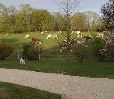 Marboz Maison | Dépendance pour 1 à 4 pers au calme dans propriété
