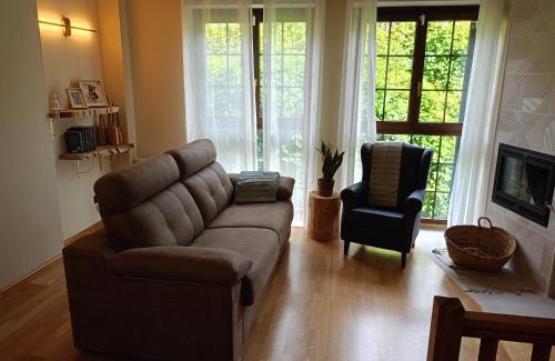 Alt Aneu Appartement | Dúplex en Valencia d'Àneu (Baqueira Beret)
