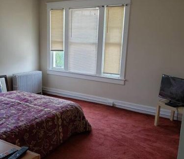 Brookland Maison | D.C.'s Brookland house Pets are Welcome!