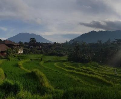 Sidemen Cabine | D'Janu Homestay