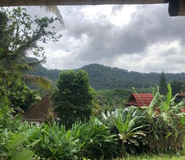 Sidemen Cabine | D'Janu Homestay