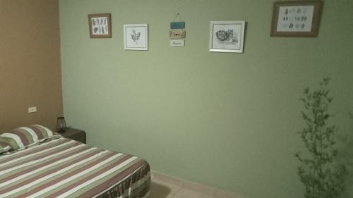 Brisas de Alto Boquete Appartement | D' Monte Alto 7