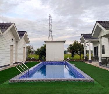 Arau Maison | D'Paddy HR Homestay