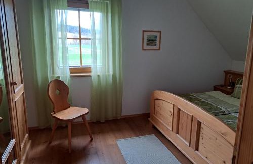 Sankt Andra Appartement | Dachberghof