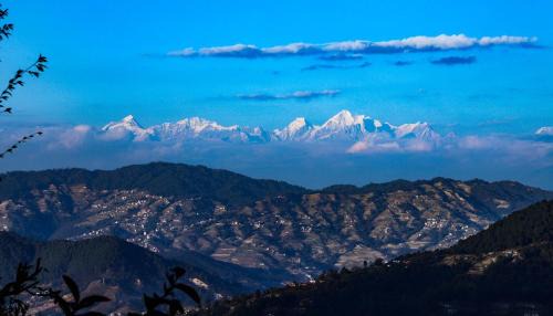 Panaoti Maison | Dadaghare Homestay & View Point Restaurant
