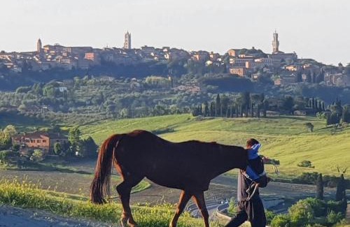 Siena Lit Et Petit-Déjeuner | DAGO Farmhouse
