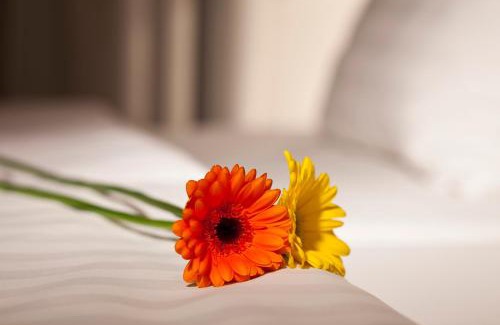 Nove Mesto Hôtel | Dahlia Inn