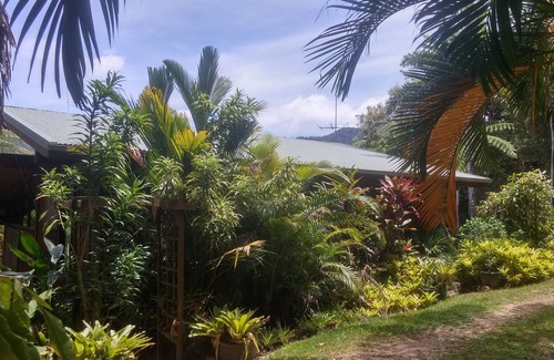 Diwan Maison | Daintree Holiday Homes - The Folly - Une retraite nature dans le Daintree
