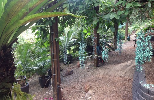 Diwan Maison | Daintree Holiday Homes - The Folly - Une retraite nature dans le Daintree
