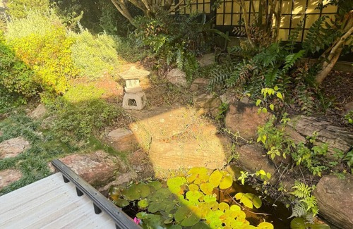 Daisy Hill Maison | Daisy hill Tranquil Japanese Gardens Retreat