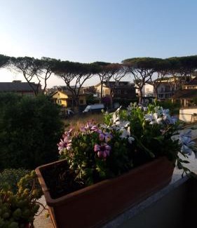 Zona XXXIII Acilia Sud Appartement | Daisy House