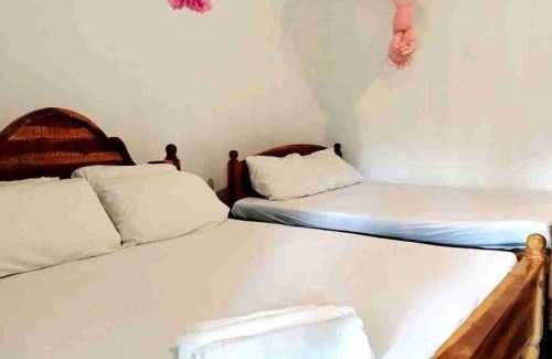 Dambulla Maison | Dambulla Sun Vsh Holiday