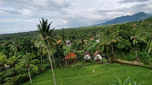 Sukasada Maison | Damuh Pertivi, River and Rice Fields View