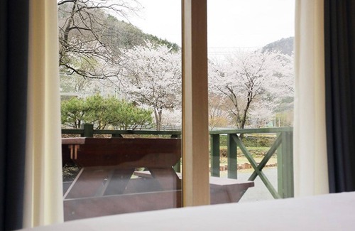 Damyang Maison | Damyang Maple Pension