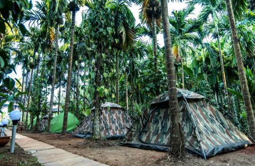 Supa Hôtel | Dandeli Goldfinch Resort