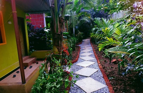 Supa Maison | Dandeli lemon tree jungle stay