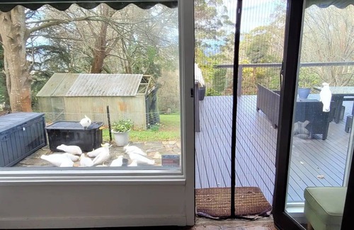 Kallista Cottage | Dandenong Ranges Amazing Sunrise & Wildlife Home!