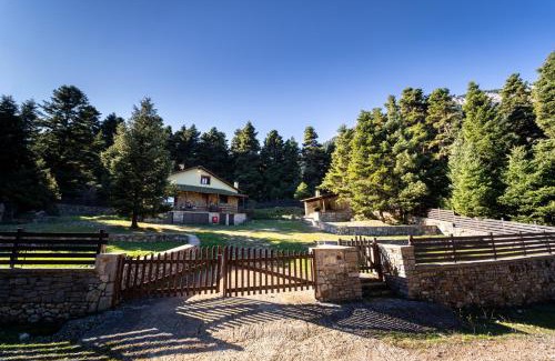 Eptalofos Chalet De Ski | Dandy Villas Elatodasos - Chalet Artemis - Fir Forest - Jeep & Nature Lovers