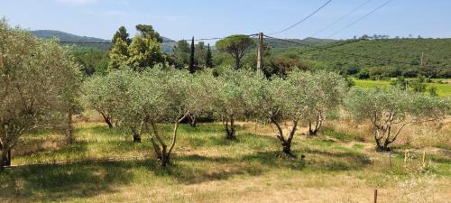 Clermont-l'Herault Maison | Dans la nature, villa de Standing avec piscine chauffée, jaccusi extérieur