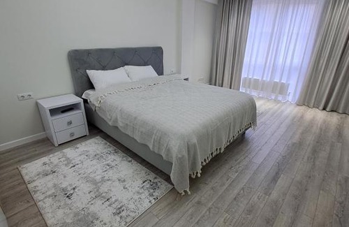 Chisinau Appartement | Dansicons apartament