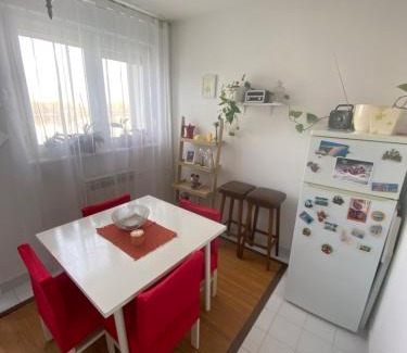 Vukovar Appartement | Danube