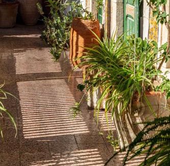 El Gorjani Maison | Dar Hayder-la Medina