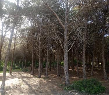 Ras Jebel Maison | Dar Latifa
