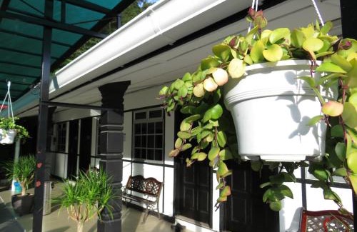 Tanah Rata Maison | Darulmakmur Chalet