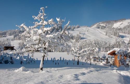 Hochfilzen Maison | Das Glaagut - Familie Hain
