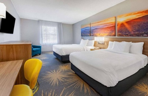 Hollins Hôtel | Days Inn I81 double ded room