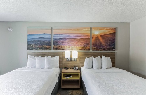 Hollins Hôtel | Days Inn I81 double ded room