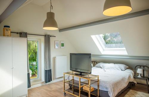 Meise Maison | DC's Home