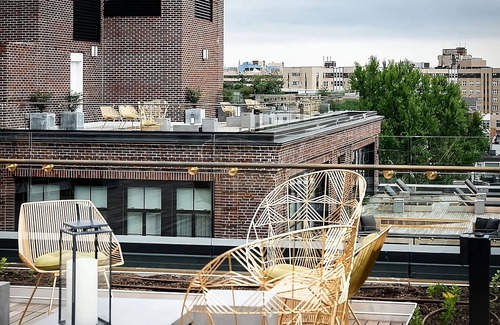 Adams Morgan Hôtel | DC Suite Retreat, Arts & Comfort in the Heart of the City, Pet-Friendly Property
