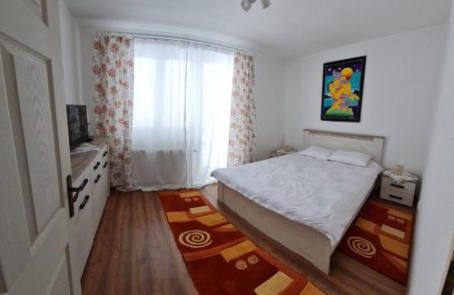 Cavnic Appartement | DDDD Apartament