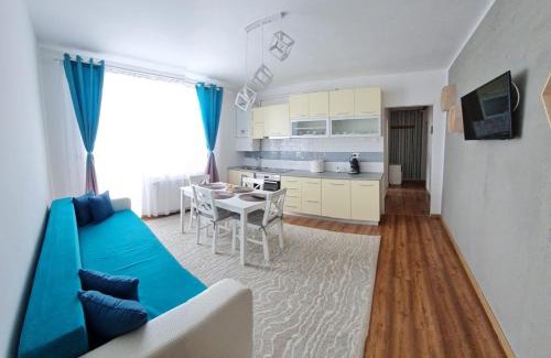 Cavnic Appartement | DDDD Apartament