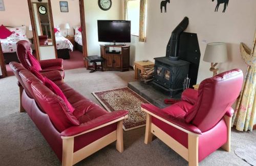 Plwmp Maison | Ddol Cottage Traditional Coastal cottage nr Llangrannog & New Quay with Donkeys
