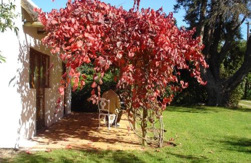 Riversdale Hôtel | De Doornkraal Vinotel