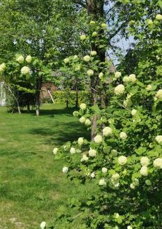 Everbeek Maison | De Groene Hoeve