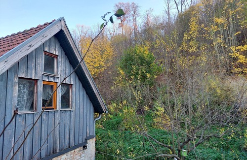 Helbedundorf Appartement | Living (almost) like in a fairy tale